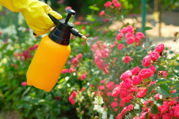 Garden Sprayer