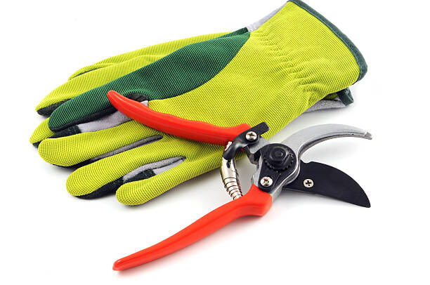 Garden Gloves