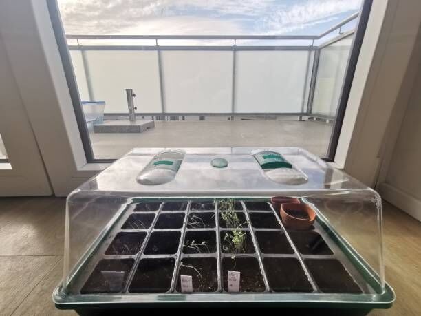 Mini Greenhouse